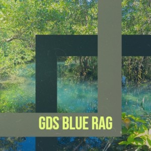 Gds Blue Rag