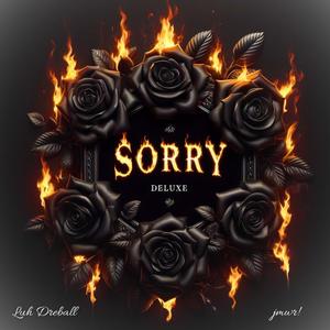 Sorry Deluxe (Explicit)