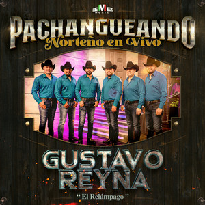 Se Fue de Mi Lado (En Vivo)