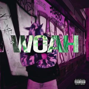 woah 3style (Explicit)