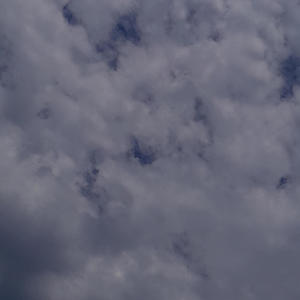 I Can't See (feat. LiChoppa) (Explicit)