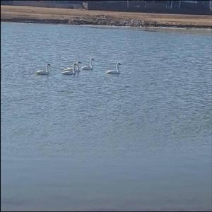 DOWN (feat. JSClown, Profsea, evvan & Vallow)