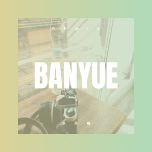 别把一个不把你放心上的人放在心上 (DJ版)