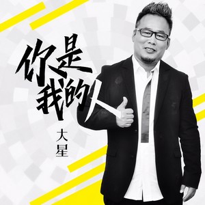 你是我的人 (DJ版)封面