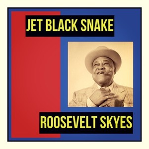 Jet Black Snake