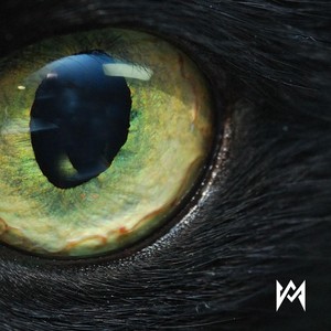 Devoción (El Cuervo) (Explicit)