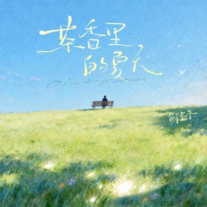 你是我最美的夏天