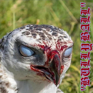 BULLY BALL (Explicit)