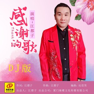 感谢的歌（DJ若男版）