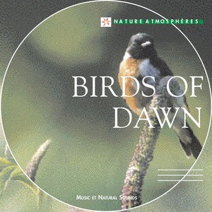 Nature Atmosphere: Birds of Dawn