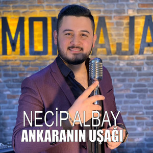 Ankaranın Uşağı