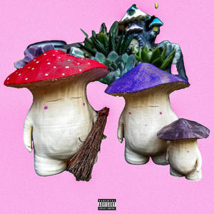 The Mushroom Family (Explicit)