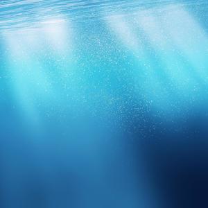 关于海，关于你