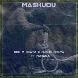 MASHUDU (feat. Mushe Mrepa & Muraga) (Explicit)