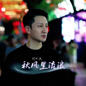 秋风里流浪