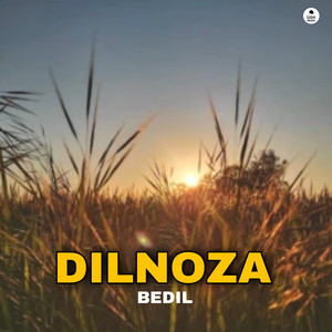 DILNOZA