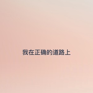 我在正确的道路上