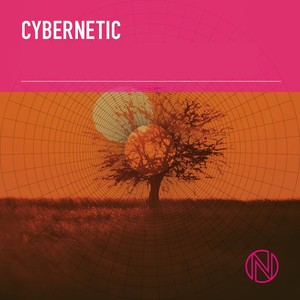 Cybernetic