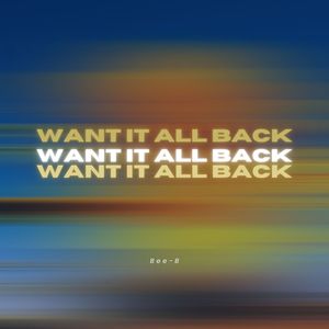 Want It All Back (Explicit)