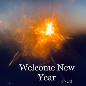 Welcome New Year