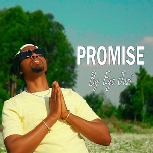 Promise (Version 1.1.0)