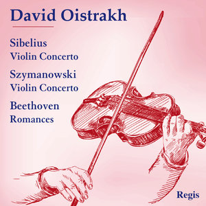 Violin Concerto in D Minor, Op. 47: I. Allegro moderato