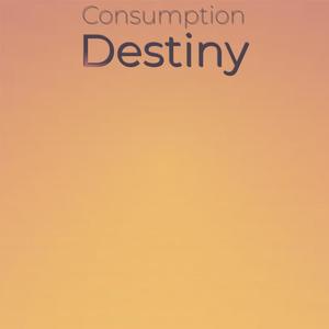 Consumption Destiny