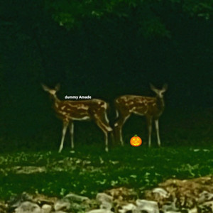 Lights (feat. Payforluv.)