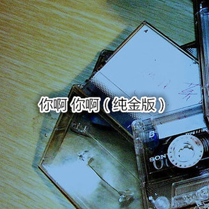 你啊 你啊 (纯金版)