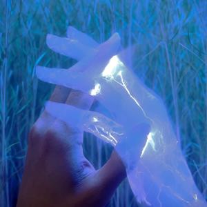 phantom (feat. FallenCastle & elmora) (Explicit)