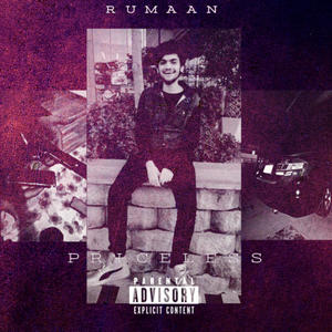 Priceless (Explicit)