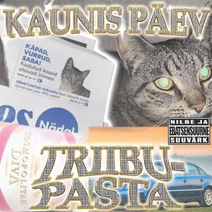 kaunis p2ev (Explicit)