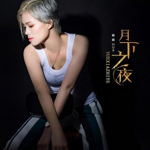 月下之夜 (伴奏)