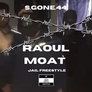 S.gone.44 - Raoul Moat (Jail freestyle) (Explicit)