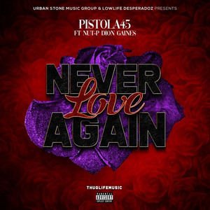 Never Love Again (feat. Nut-P)