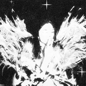 vėl (Explicit)