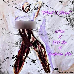 What U Need (feat. 3skii & CEO Bo) (Explicit)