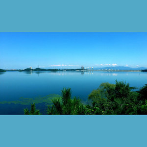 夏易电子风 FeNG