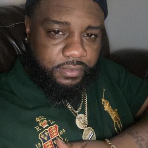 Big Bug - certified steppers