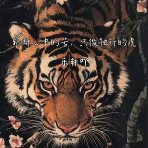斩断心中的苦，只做独行的虎