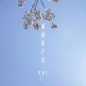 城南花已开