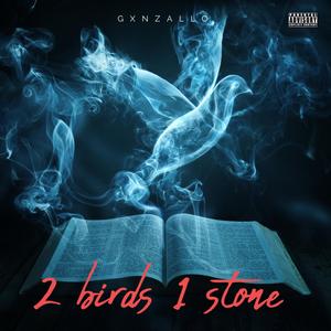 2 birds 1 stone (Explicit)
