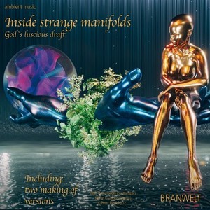 Inside Strange Manifolds