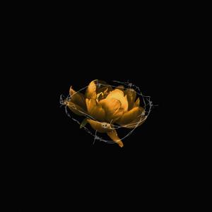 Ð´Ð¸Ð°Ð´ÐµÐ¼Ð° Ð¸Ð· ÑÐ¾ÑÐ½ÑÐºÐ¾Ð² (Original Mix)