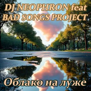 Облако на луже