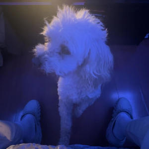 over again (Explicit)