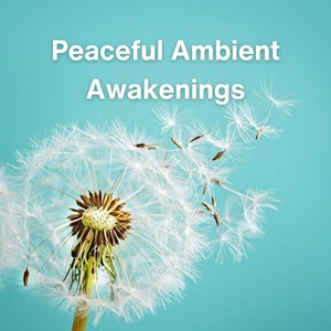 Peaceful Ambient Awakenings