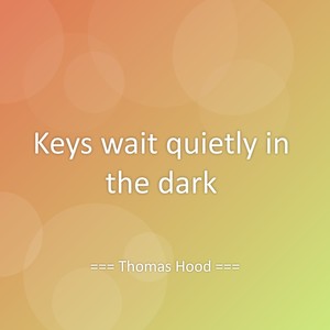 Keys wait quietly in the dark