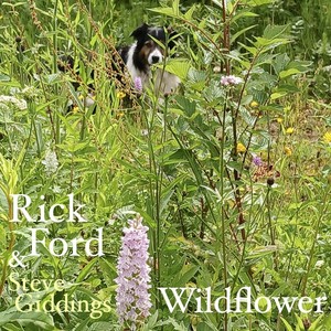 Wildflower