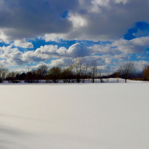 Promenade d'hiver